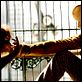Creation : photo Jon Amiel, Paul Bettany