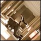 Inception : photo Christopher Nolan, Joseph Gordon-Levitt
