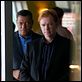 CSI: Miami