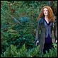 The Twilight Saga: Eclipse - Bis(s) zum Abendrot : photo Bryce Dallas Howard, David Slade
