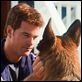 Cats & Dogs - Die Rache der Kitty Kahlohr : photo Brad Peyton, Chris O'Donnell, Kevin Lima