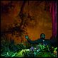 My Own Love Song : photo Forest Whitaker, Olivier Dahan