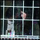 My Own Love Song : photo Forest Whitaker, Madeline Zima, Olivier Dahan