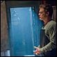 Dexter
