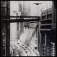 Metropolis