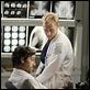 Grey's Anatomy - Die jungen Ärzte : photo Kevin McKidd, Patrick Dempsey