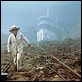 Fitzcarraldo
