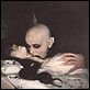 Nosferatu - Das Phantom der Nacht