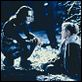 The Crow