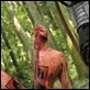 The Machine Girl