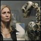 V – Die Rückkehrer : photo Elizabeth Mitchell