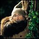 7 Zwerge - Männer allein im Wald