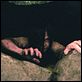 photo Daveigh Chase