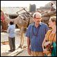 Eat Pray Love : photo Julia Roberts, Ryan Murphy