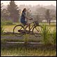 Eat Pray Love : photo Julia Roberts, Ryan Murphy