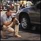 Hawaii Five-0