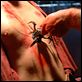 Firefly – Aufbruch der Serenity