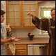 Arrested Development