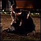 The Vampire Diaries : photo Ian Somerhalder, Nina Dobrev