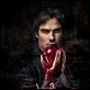 The Vampire Diaries : photo Ian Somerhalder