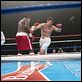 The Fighter : photo David O. Russell, Mark Wahlberg