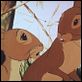 Watership Down
