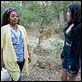 Weeds - Kleine Deals unter Nachbarn : photo Mary-Louise Parker, Tonye Patano