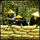 Tödliches Vietnam
