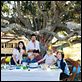 The Tree : photo Charlotte Gainsbourg, Julie Bertuccelli, Marton Csokas, Morgana Davies