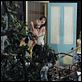 The Tree : photo Charlotte Gainsbourg, Julie Bertuccelli, Morgana Davies
