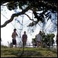 The Tree : photo Charlotte Gainsbourg, Julie Bertuccelli, Marton Csokas, Morgana Davies
