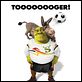 Für immer Shrek