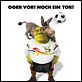 Für immer Shrek