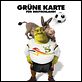 Für immer Shrek