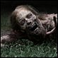 The Walking Dead