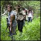 The Walking Dead