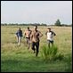 The Walking Dead