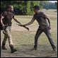 The Walking Dead