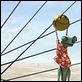 Rango : photo Gore Verbinski