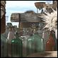 Rango : photo Gore Verbinski