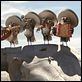 Rango : photo Gore Verbinski