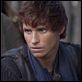 Die Säulen der Erde : photo Eddie Redmayne
