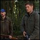 Supernatural