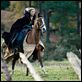 Camelot : photo Tamsin Egerton