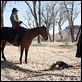 True Grit : photo Ethan Coen, Jeff Bridges, Joel Coen