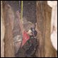127 Hours : photo Danny Boyle, James Franco