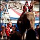 Mad Circus - Eine Ballade von Liebe und Tod : photo Álex de la Iglesia