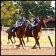 Secretariat : photo Randall Wallace