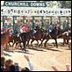 Secretariat : photo Randall Wallace