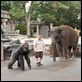 Der Zoowärter : photo Frank Coraci, Kevin James